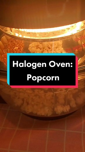 Innovative Halogen Oven: A Multipurpose Kitchen Gadget Review