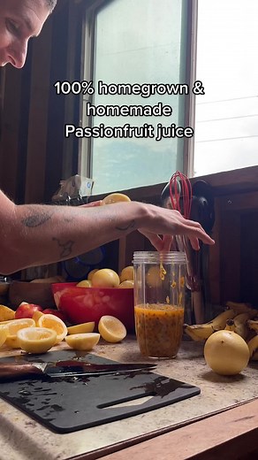 Im trying to learn to preserve all these awesome fruits ans food i grow! Yesterday i experimented with making lilikoi (passionfruit) juice and jam! This was all 100% homegrown here at my treehouse farm. The best tasting juice ever! Im beyond proud. Wow. #homegrown #homemade #lilikoi #lilikoijuice #passionfruit #passionfruitjuice #lilikoijam #passionfruitjam #backyard #forage #fruittok #treehousechicks #fyp #foryou #offgrid #offgridkitchen #homestead #preservation #foodprep #foodstorage #learntok