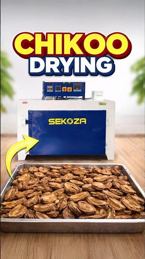Sekoza Food Dryer Machine | Chikoo Drying Demo | Turn Fresh Chikoo Into Dry Fruit