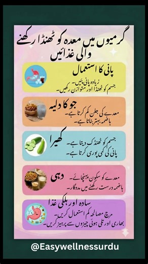 Best Foods to Keep Your Stomach Cool in Summer | Natural Heat Relief Tips