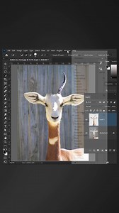 Photoshop Tutorial 1 #photoshoptutorial #fblifestyle | Grapexels