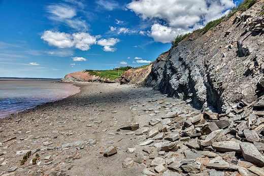 5 Reasons Why You Should Visit Joggins Fossil Cliffs