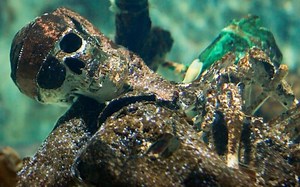 Can You Put Metal Objects In A Fish Tank|10 Tips You Must Know