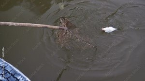 Fisherman using a hand net to catch fishes out of a Chinese fishing net