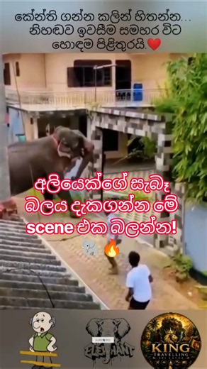 Angry Elephant Breaks Through a Wall in a Powerful Rampage! 🐘😱#elephant #elephant attack