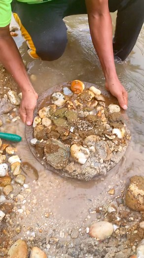 Wow,!! amazing gold dust was found above the earth's crust #gold #goldjewelry #golddiscovery #goldprospectang #goldrush #goldhunter #goldpanning #goldminning #PUREGOLD | Fitraal gold hunting