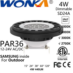 [Hot Item] Dimmable LED Spotlight PAR36 Lamp with 4W 12-24V AC/DC for Landscape Lighting