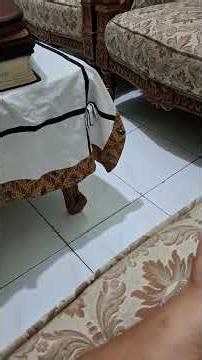 Here are the Following Applications that Compatible with Lenovo ThinkPad P17 Gen 3