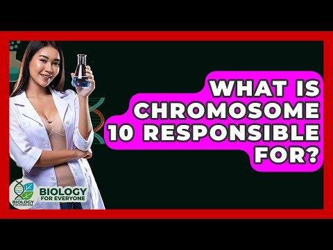 What Is Chromosome 10 Responsible For? - Biology For Everyone