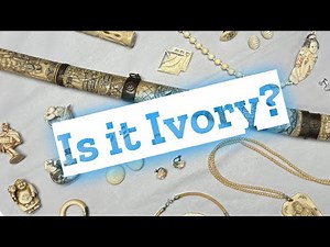 How To Identify Ivory