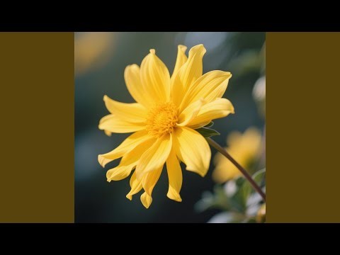 Golden Bloom