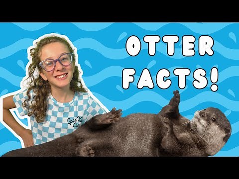 Learn all about Otters! Fun Animal Facts for Kids with Maisie Facts!