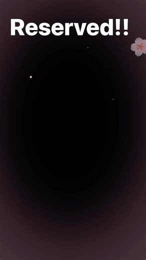 Girls are reserved!!💖💖💖 | Summer's Maltese