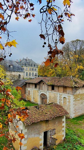 10K views · 97 reactions |  How does the system of heritage protection work and how does it effect our work here at Château de Purnon? Join us on Patreon to watch in full.  in bio  Comment fonctionne le système de protection du patrimoine et comment affecte-t-il notre travail ici au Château de Purnon ? Rejoignez-nous sur Patreon pour regarder la vidéo en entier.  dans la bio  @skydiohq 了 @hardyakkaofficial @hardyakkaofficial_uk | Château de Purnon | Facebook