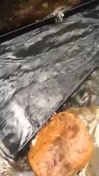 Pennsylvania Gold Prospecting. Bazooka sluice in the 7 Tubs park, Wilkes Barre, Pa.