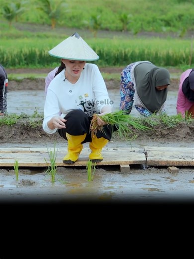 MOODBOSTER CLIP BU SHERLY, Gak pernah bosen mengikuti kegiatan ibu ini 💅 Source YT : GubSherly #sherlytjoanda #sherly #gubernur #gubernurmalukuutara #fyp #core #clips