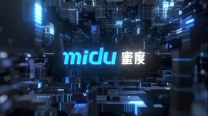 蜜度Midu-语言智能和垂直大模型企业