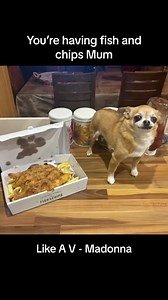 249K views · 1.5K reactions | Born greedy﫣 #greed #cutedog #destinyschis #lola #baby #madonna #parody #comedy #funnyvideo #singingdogs #chien #dog #dogs #doggie #pup #pups #puppy #pupper #chihuahua #chihuahuas #chihuahualove #chihuahuaoftheday #chihuahuaworld #food #foodie #pizza #fishandchips #hunde #hundeliebe #woof | Destiny’s Chis | Facebook