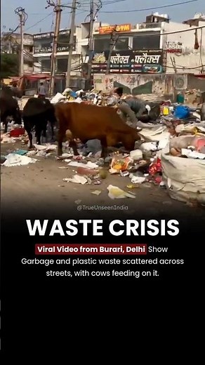 Delhi’s Civic Crisis: Burari Streets Overflow with Garbage and Neglect #cmrekhagupta