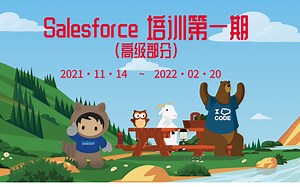 Salesforce培训第一期高级部分01_部署