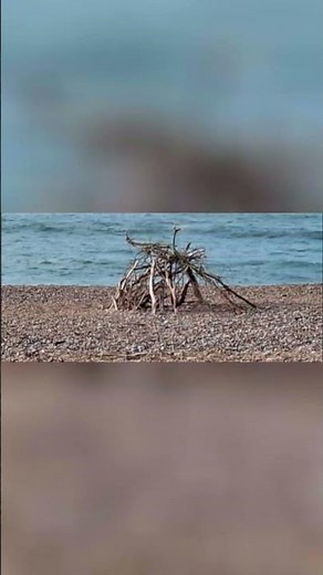 A few shots of Seaton beach this morning #fypシ #nature #fyp #sea #waves #sky #beach #views #water
