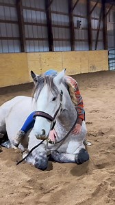 170K views · 9.4K reactions | I raised this filly! She was a total surprise and my first foal ever. Now she’s 2 and offering more than I could ever imagine. | Free Spirit Equestrian | Facebook