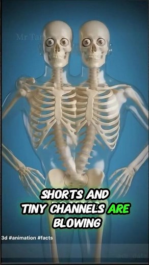 How to make viral skeleton videos with AI (step by step) #aicreator