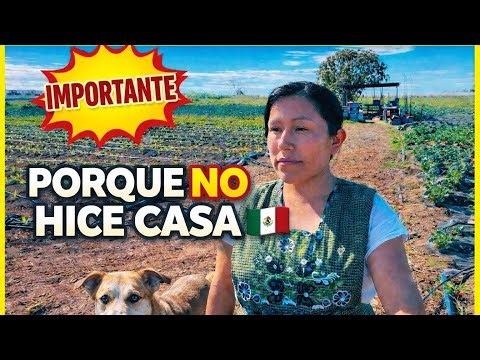 Where are we going to live? We don't have a house yet! 🏠