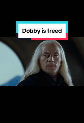 is there a ticket to thailand in there too? #harrypotter #luciusmalfoy #dobby #movierecommendations