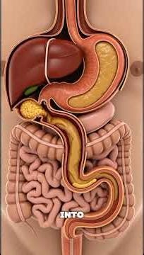 Why Older Men Should Chew Ginger Daily! #ginger #testosteroneboost #menshealthtips