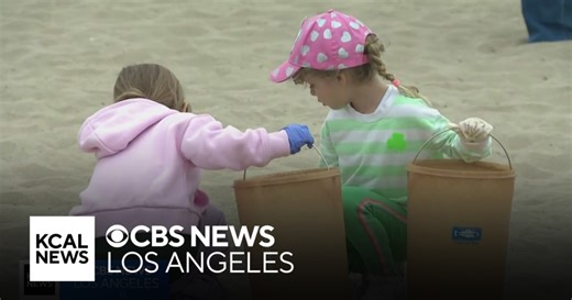 Volunteers clean up the Santa Monica shoreline for International Coastal Cleanup Day