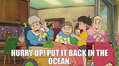 Hurry up! Put it back in the ocean.