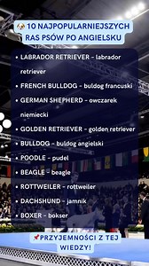 📍www.as-szkola.online 🐶 10 NAJPOPULARNIEJSZYCH RAS PSÓW PO ANGIELSKU: LABRADOR RETRIEVER – labrador retriever | FRENCH BULLDOG – buldog francuski | GERMAN SHEPHERD – owczarek niemiecki | GOLDEN RETRIEVER – golden retriever | BULLDOG – buldog angielski | POODLE – pudel | BEAGLE – beagle | ROTTWEILER – rottweiler | DACHSHUND – jamnik | BOXER – bokser || LABRADOR RETRIEVER /ˈlæbrədɔː rɪˈtriːvə/ 👉 labrador retriever 🗣 Labrador retrievers are friendly and easy to train. (Labradory są przyjazne i 