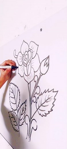 Whiteboard Drawing: Rose Flower Outline | Step-by-Step for Beginners , part 1