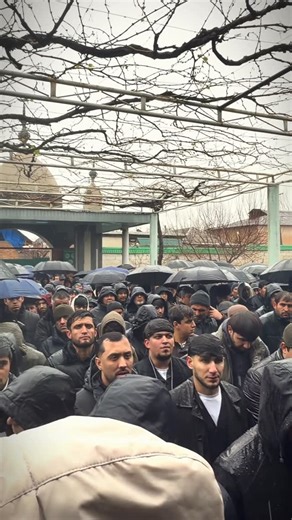 Дилшод Шарипов on Instagram: "ЧАНОЗАИ КОБИЛДЖОН , АЛЛОХ САБР ТИЯД ДАР ХОНАВОДАИ ТУ , ДАР ТУ ЧОНМ КОШ И КОР НАМЕШУД 🥲🥲🥲🥲 ХИЧИ ГУФТА НАМЕТОНМ ДАР ДИЛМ ЯГАЛА ГАП ДОРМ ЛЕК АЙ ДИЛМ НАМЕРОЯ 🥹"