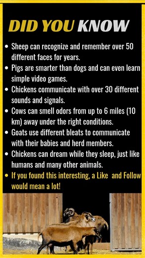 7 Amazing Farm Animal Facts That Will Surprise You! 🐔🐄🐐 | Part 2