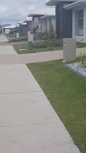 36K views · 264 reactions | Skilled Labor Isn't Cheap & Cheap Labor Isn't Skilled. By Luke Holland | Instant Regret | Facebook