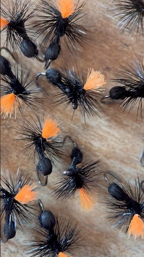 Fly Ant ora disponibili per la prossima stagione!
