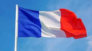 Definite and indefinite articles in French - BBC Bitesize