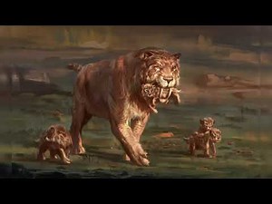 Saber-toothed Tiger-5 Key facts