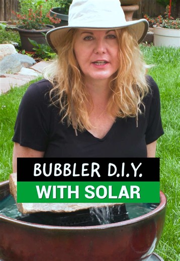 Solar fountain pump? This is the #1 question I got on my D.I.Y. water features for birds. In this video I share my experience with them. What are your thoughts on solar pumps? How to make this Floating Rock Bubbler DIY is on my channel along with a lot more bird content. Thanks for caring for the birds with me. #alison_kondler #birdingbyear #SolarPumps