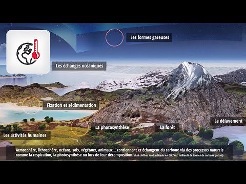 [Comment ça marche ?] Le cycle du carbone