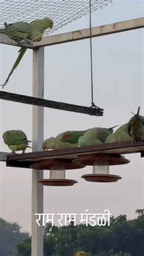 148 reactions · 20 comments | Neeta Kumbhar on Reels | Facebook