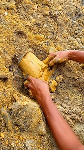 1.9M views · 14K reactions | Wow!!!, It's truly amazing, a burst of yellow mud filled with gold in the excavation hole of heavy equipment. #goldprospecting #goldprospector #goldpanning #goldnugget #goldrush #goldhunting #Goldfinding #goldmund #goldmine #golddiscovery #golddust #goldhunter #goldgrains | Afrizul Izul | Facebook