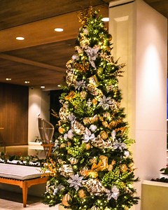 Halekulani Holidays are back and BIGGER! This year, we're excited to announce 30 days of holidays, beginning December 4. Throughout the month, guests can enjoy a variety of magical activities. Here's a taste of what to expect: 🎄 Christmas Tree Lighting 🍹 Holiday Craft Mixology Class ⛵ Catamaran Cruise With Santa Claus 🕎 Menorah Lightings ✨ Magic Show at House Without A Key To view the full schedule of festivities, please visit: https://bit.ly/3AOoMPi | Halekulani Hotel