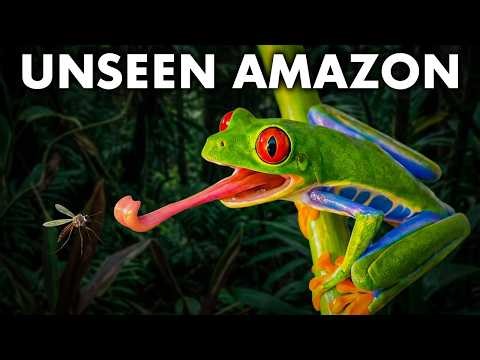 The 10 Most Unbelievable Frogs of The Amazon Rainforest | Documentary