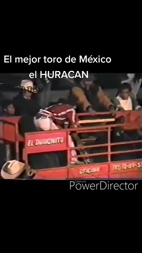 solis solis on TikTok