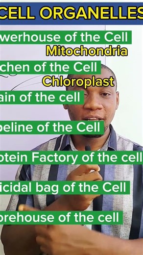 Cell Organelles and functions #biology