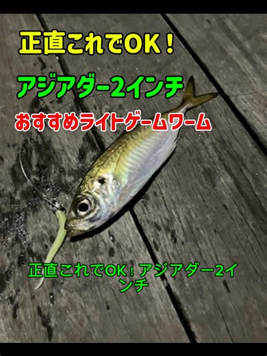 Honestly, this is perfect! The Asia Darter 2-inch is recommended for those new to light game fish...
