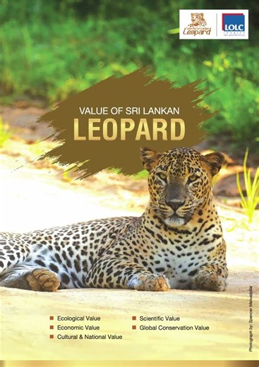 Introducing the LOLC 2026 Corporate Diary, A Tribute to the Sri Lankan Leopard